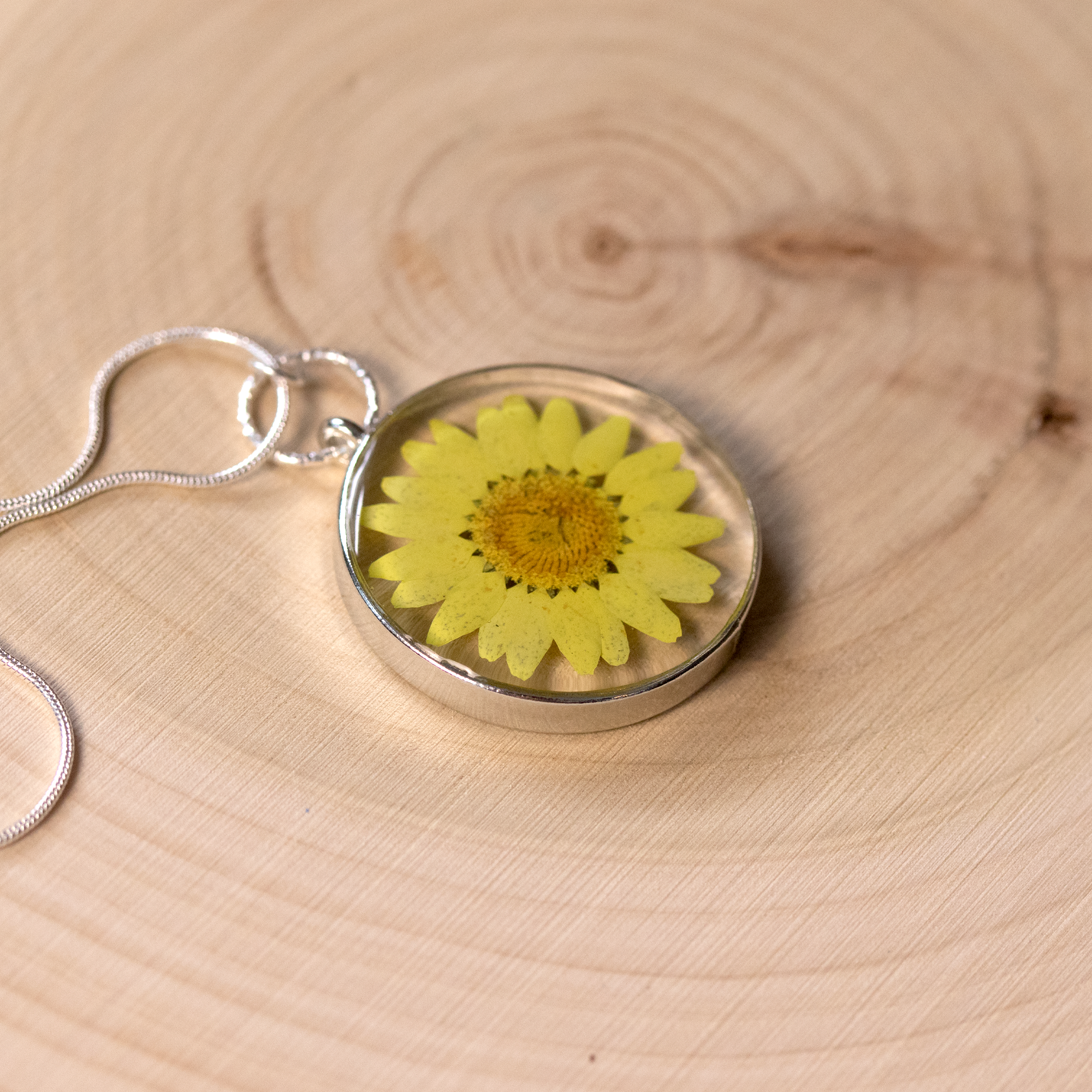 Colorful Daisy Pendant - Calico Unicorn