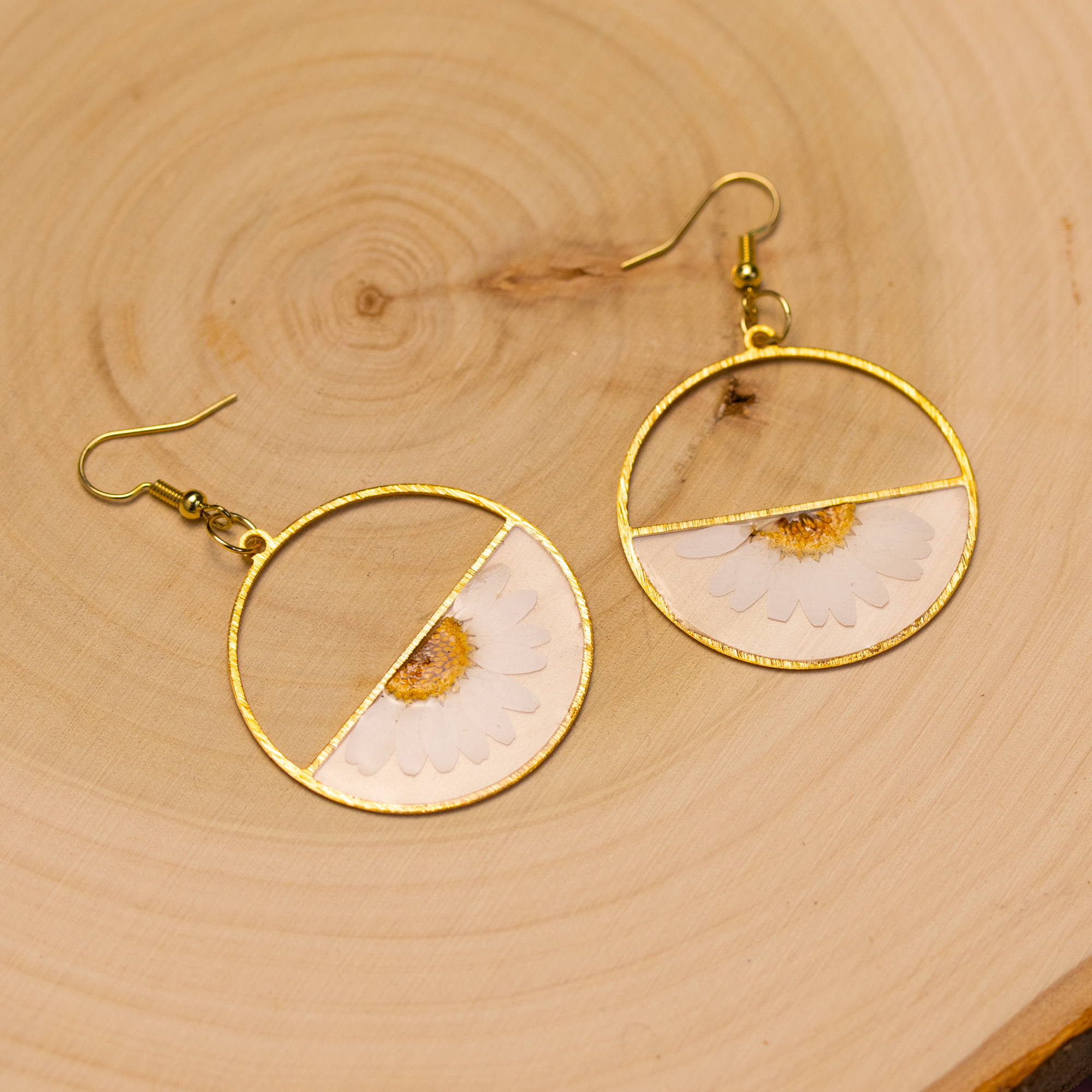 Real daisy half circle lightweight earrings 5.png