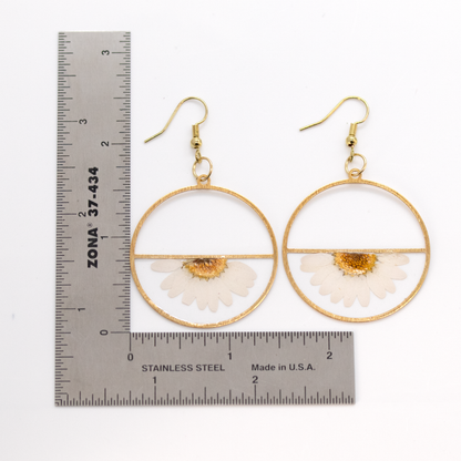 Real daisy half circle lightweight earrings 1.png